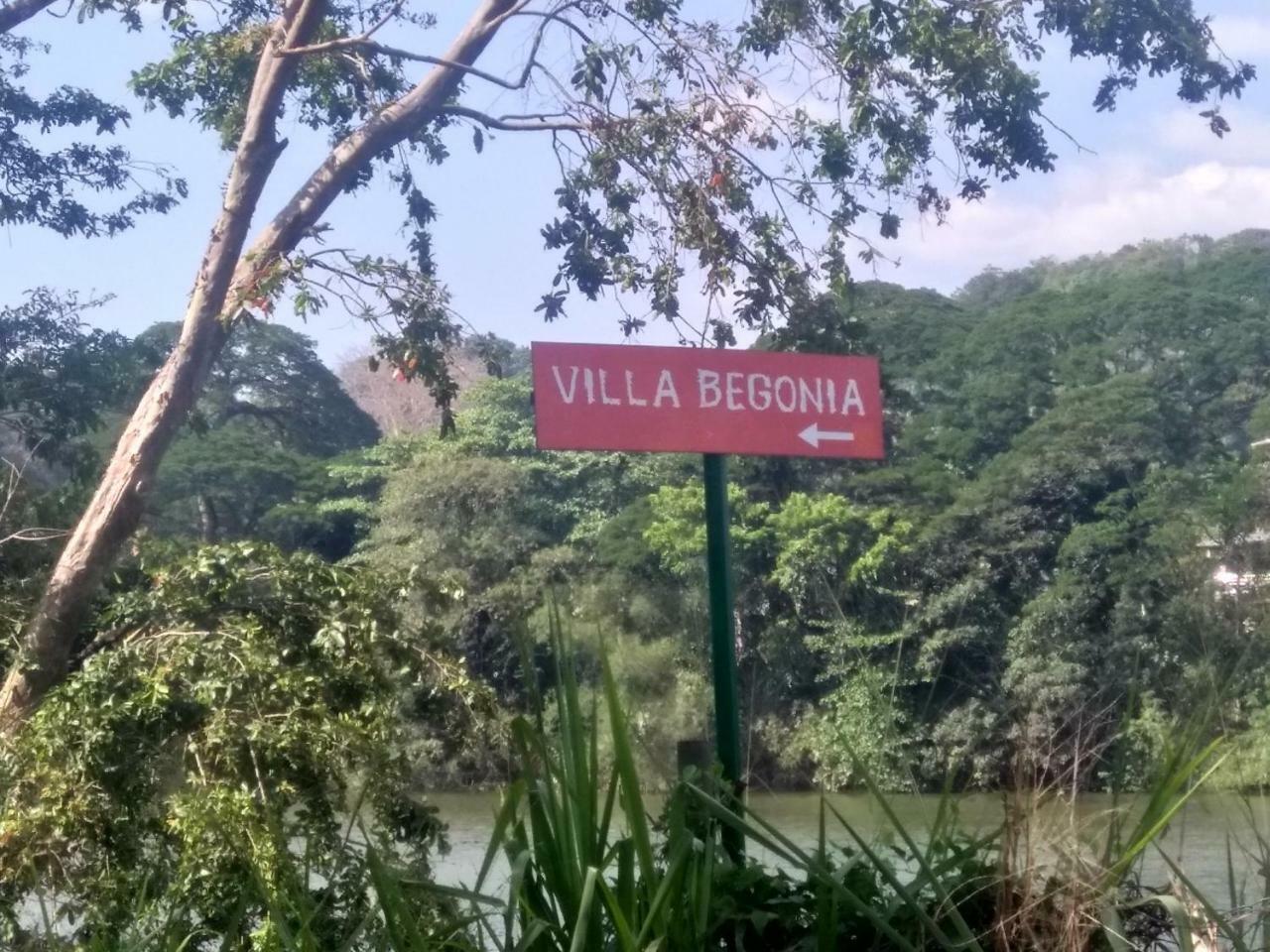 קטאגואסטוטה Villa Begonia מראה חיצוני תמונה